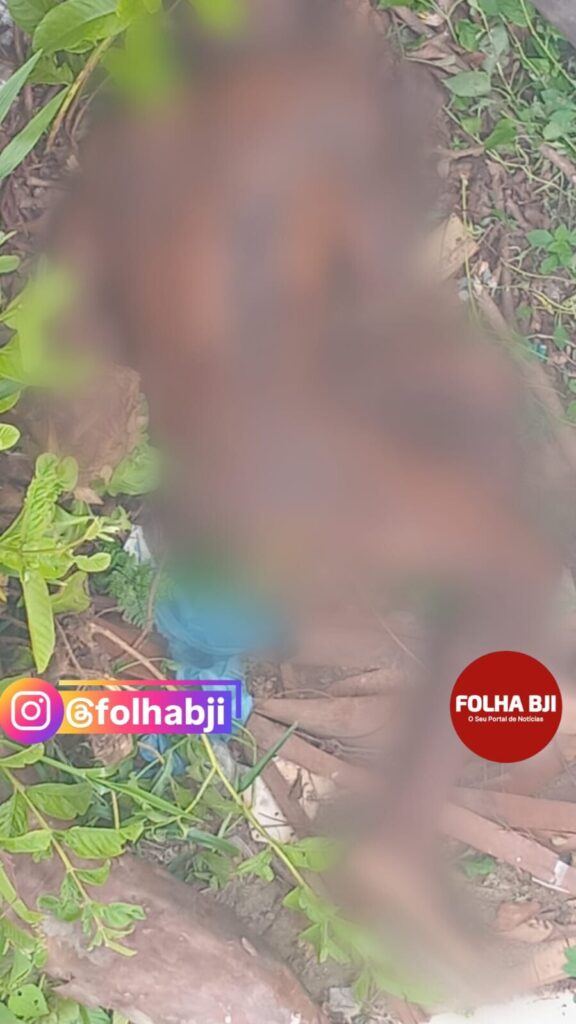 Homem é encontrado morto no Campão do bairro Pimentel Marques, em Bom Jesus do Itabapoana – Foto: Reprodução 