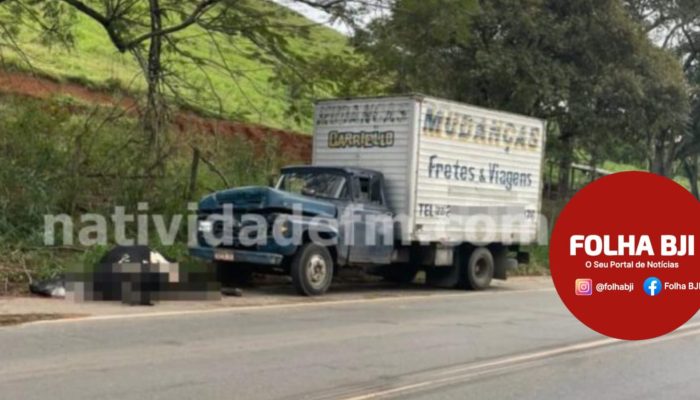 animal solto causa acidente em BJI