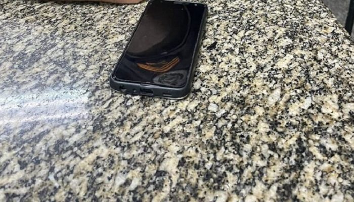 apropriacao-800x445