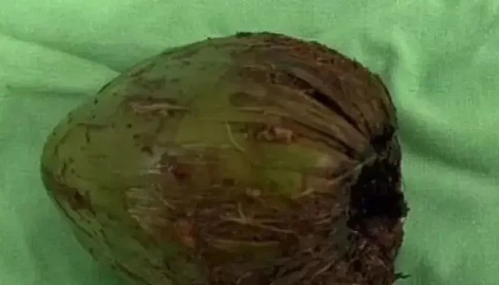coco