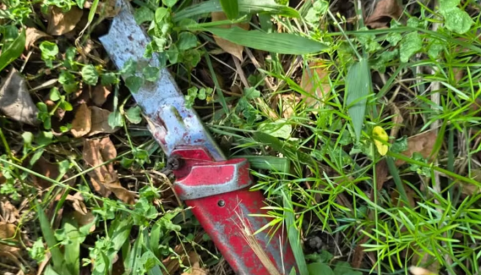 idosa-confessa-ter-comido-coracao-e-penis-de-morador-de-rua-em-sp_widelg